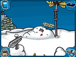 Guys where i can find aunt artic in this mission of club penguin elite  penguin force of DS please im lost here : r/ClubPenguin