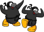As seen in issue 206 of the Club Penguin Times, along with the Ninja Outfit