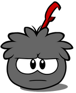 Black Puffle look in player card.