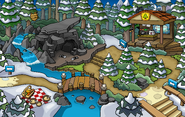 Puffle Party 2016 Forest