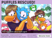 The Feature Story from Issue #424 of the Club Penguin Times