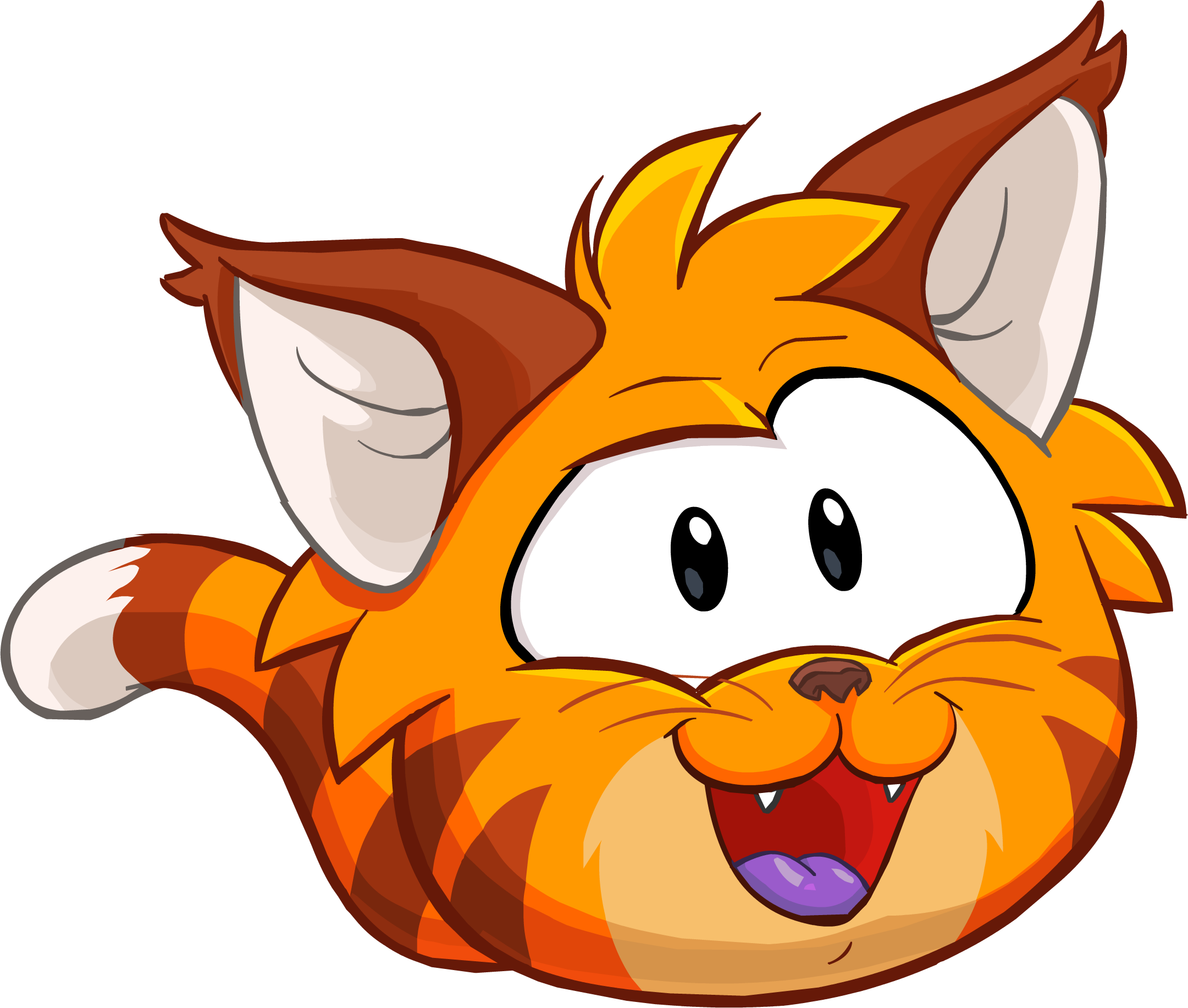 Gato Tabi Laranja, Wiki Club Penguin Brasil