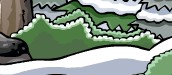 Bushes