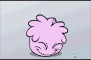 Pink puffle cried!