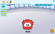 Red puffle state