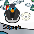In-game with white puffle