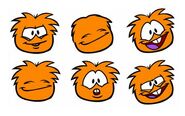 6 Pictures of the Orange Puffle