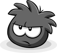 Another image of a Black Puffle