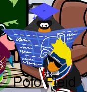 Polo Field spotted in Club Penguin