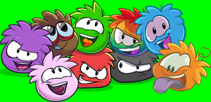 AllPuffles2013Redesign.png