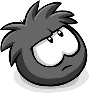 A Black Puffle looking up