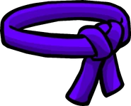 The Purple Ninja Belt