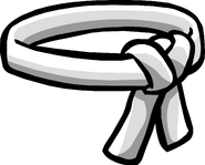 White Ninja Belt icon