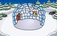 The placement of an igloo in this location