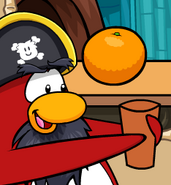 Rockhopper, enjoying his smoothie.