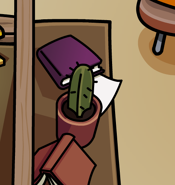 Newcactus.png (40 KB) In the renovated Book Room