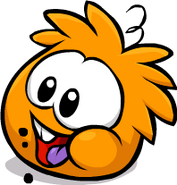 The Orange Puffle eating a cookie.