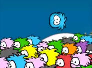 Orange Puffle Spotted