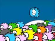 The Purple Puffle seen in the puffle Video