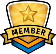 Level 3, 13-18 months