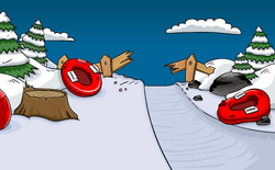 PSA Mission 4: Avalanche Rescue, Club Penguin Wiki