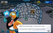 In the Introduction to Club Penguin