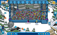 Bosque Fiesta de Puffles 2011.png (385 kB) Durante la Fiesta de Puffles 2011
