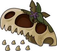 The skull of a Dinosaurus Rex