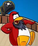 Shocked/Scared Rockhopper.