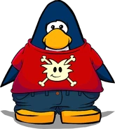 En la Tarjeta de Jugador.