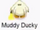 Muddy Ducky