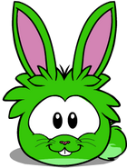 Puffle Conejo Verde en el Juego