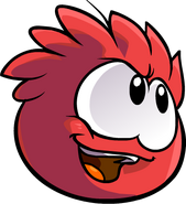 An adventurous red puffle, that almost looks like the item Yarr.