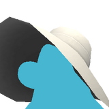 Sun Lid icon