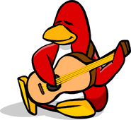 An old penguin playing on the Acoustic Guitar.