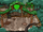 Green Puffle Tree House