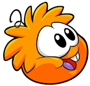 Orangepuffle5.png (50 KB)
