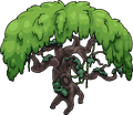 Ancient Tree