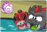 Puffle T-Rex Negro, Tricerapuffle Rojo, Estegopuffle Rosa