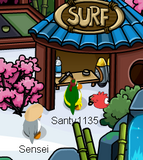 Sensei spotted during the Card-Jitsu Party.