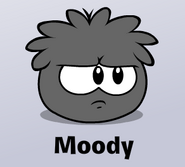 The action the black puffle does after you pet it