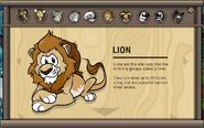 Its information page in the Animals We're Helping Catalog