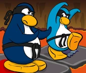 Card_Jitsu_Fire_B