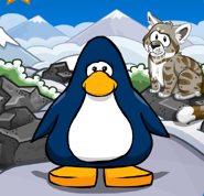 En la Tarjeta de Jugador