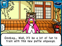 8393: dekutony's DS Club Penguin: Elite Penguin Force The Puffle  Pranksters in 02:52.02 - Submission #8393 - TASVideos