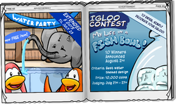 Club Penguin Is Back Online, Fun Times For Millennials Stuck In Their  'Igloos