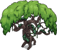 Ancient Tree 1
