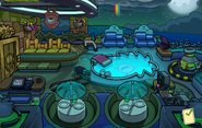 Puffle Hotel Roof