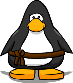Brown Ninja Belt | Club Penguin Wiki | Fandom