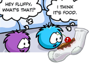 Puffles question an orange puffle's snack.